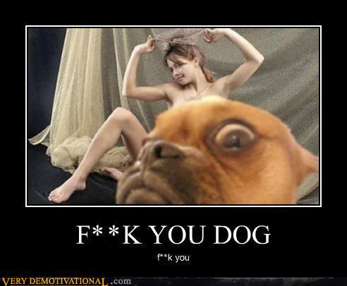 Dog demotivators and graphics