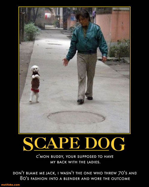 Dog demotivators and graphics