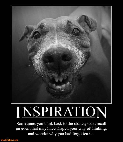 Dog demotivators and graphics