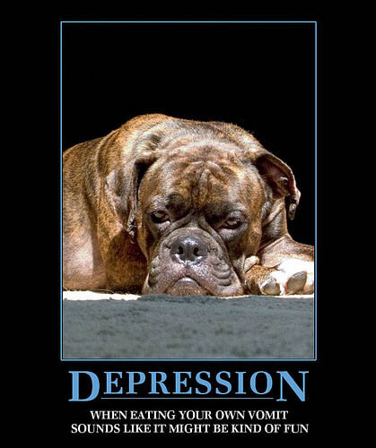 Dog demotivators and graphics