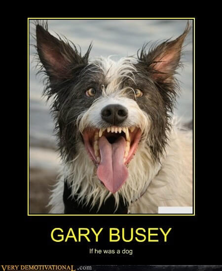 Dog demotivators and graphics