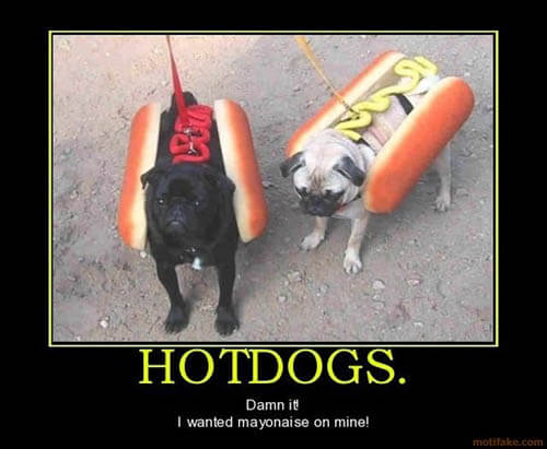 Dog demotivators and graphics