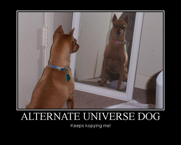 Dog demotivators and graphics