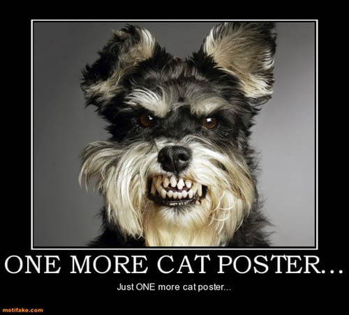 Dog demotivators and graphics