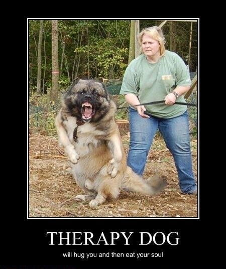 Dog demotivators and graphics