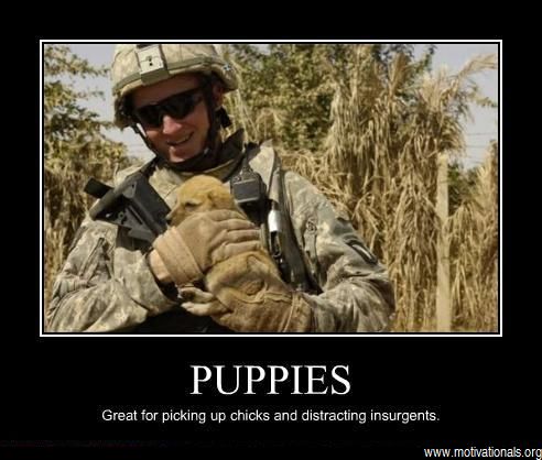 Dog demotivators and graphics