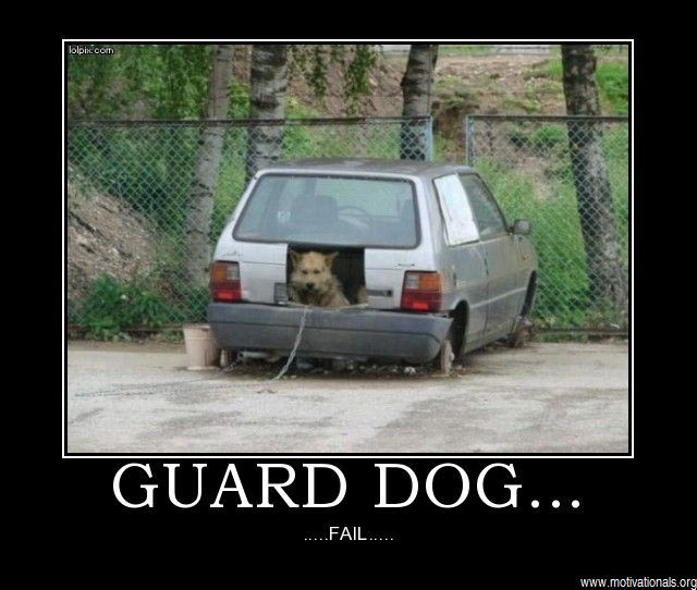 Dog demotivators and graphics