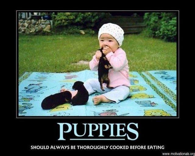 Dog demotivators and graphics