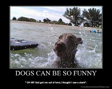 Dog demotivators and graphics