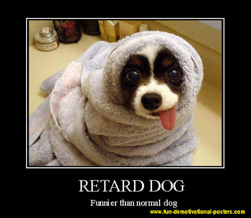 Dog demotivators and graphics