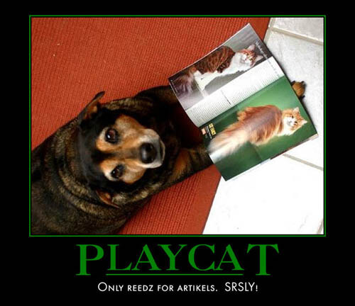 Dog demotivators and graphics