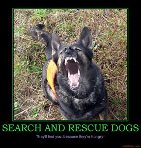 Dog demotivators and graphics