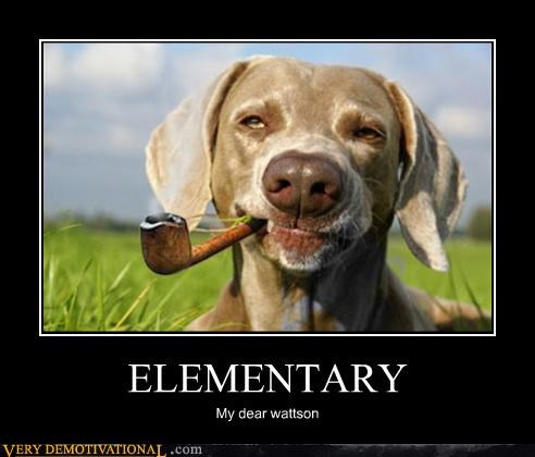 Dog demotivators and graphics