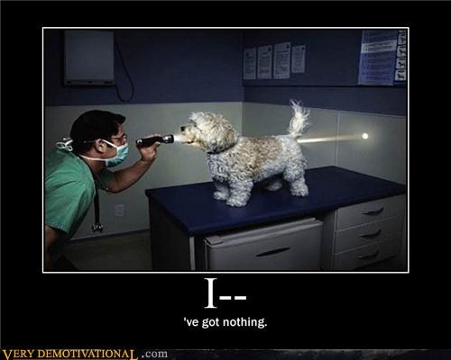 Dog demotivators and graphics