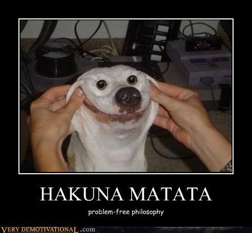 Dog demotivators and graphics