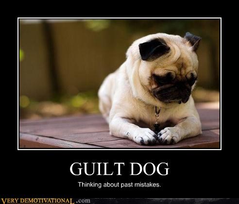 Dog demotivators and graphics