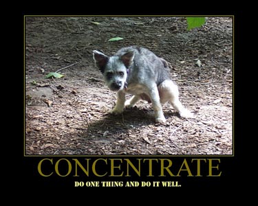 Dog demotivators and graphics