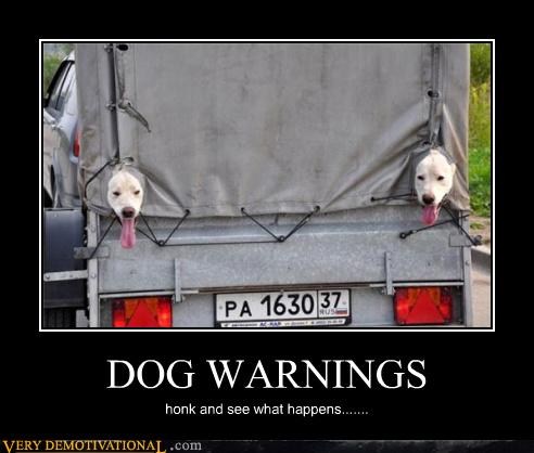 Dog demotivators and graphics