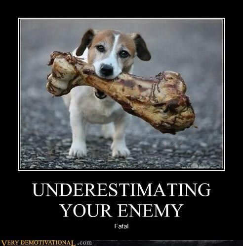 Dog demotivators and graphics