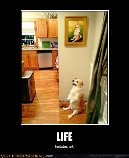 Dog demotivators and graphics