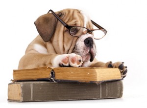 DOG VISION and EYES