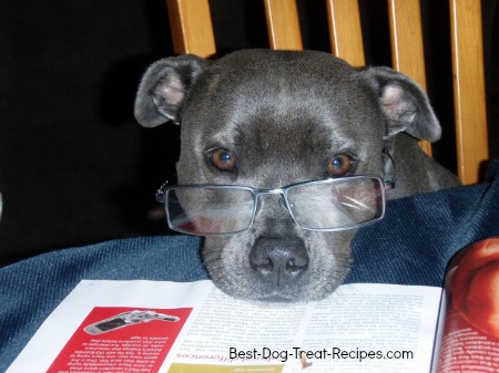 DOG VISION and EYES
