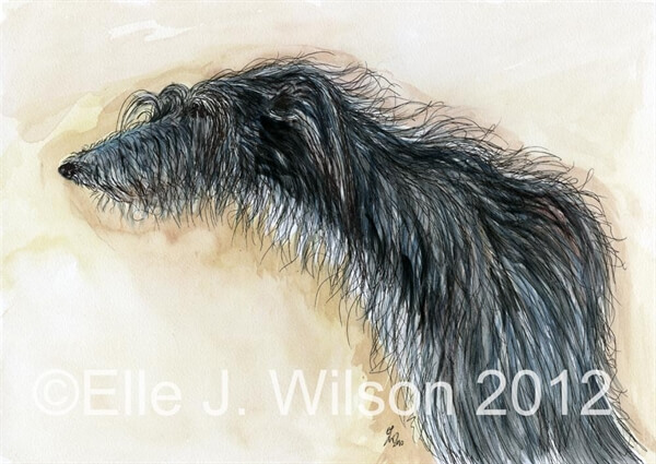 DOG ART, DRAWINGS, PAINT by Elle J. Wilson