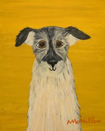 DOG ART, DRAWINGS, PAINT by Abby Mcmillen