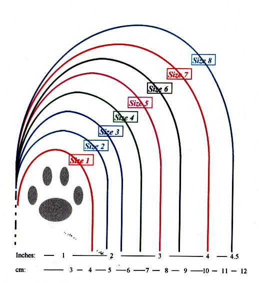 DOG SIZE, PUPPY SIZE, DOG BREEDS SIZE CHART, DOG SIZE MEASURE CALCULATOR