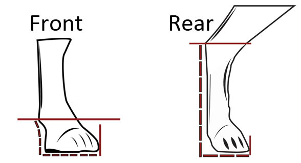 PUPPY BOOTS SIZE, DOG BOOTS SIZE CHART, DOG BOOTS SIZE MEASURE