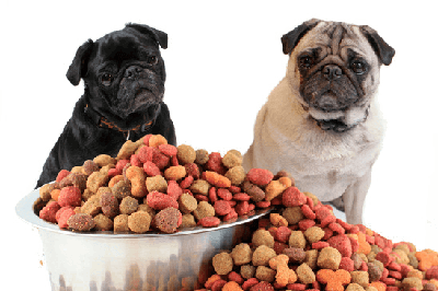 DOG FOOD COMPANIES