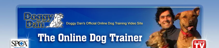 WWW.THEONLINEDOGTRAINER.COM