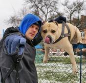 TRET - PARKOUR DOG FROM UKRAINE