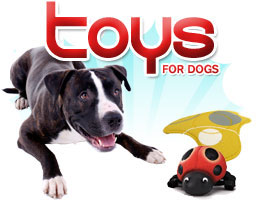 DOG TOYS