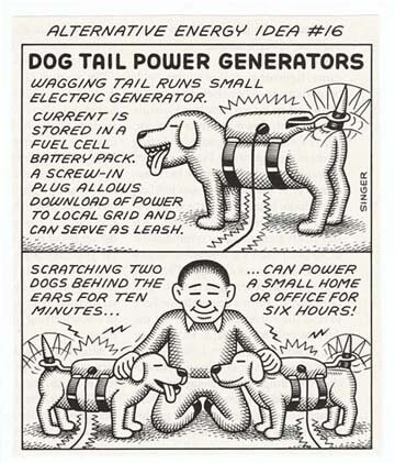 DOG and PUPPY TAIL ANATOMY