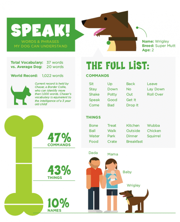 DOG LANGUAGE, TALK TO YOUR DOG