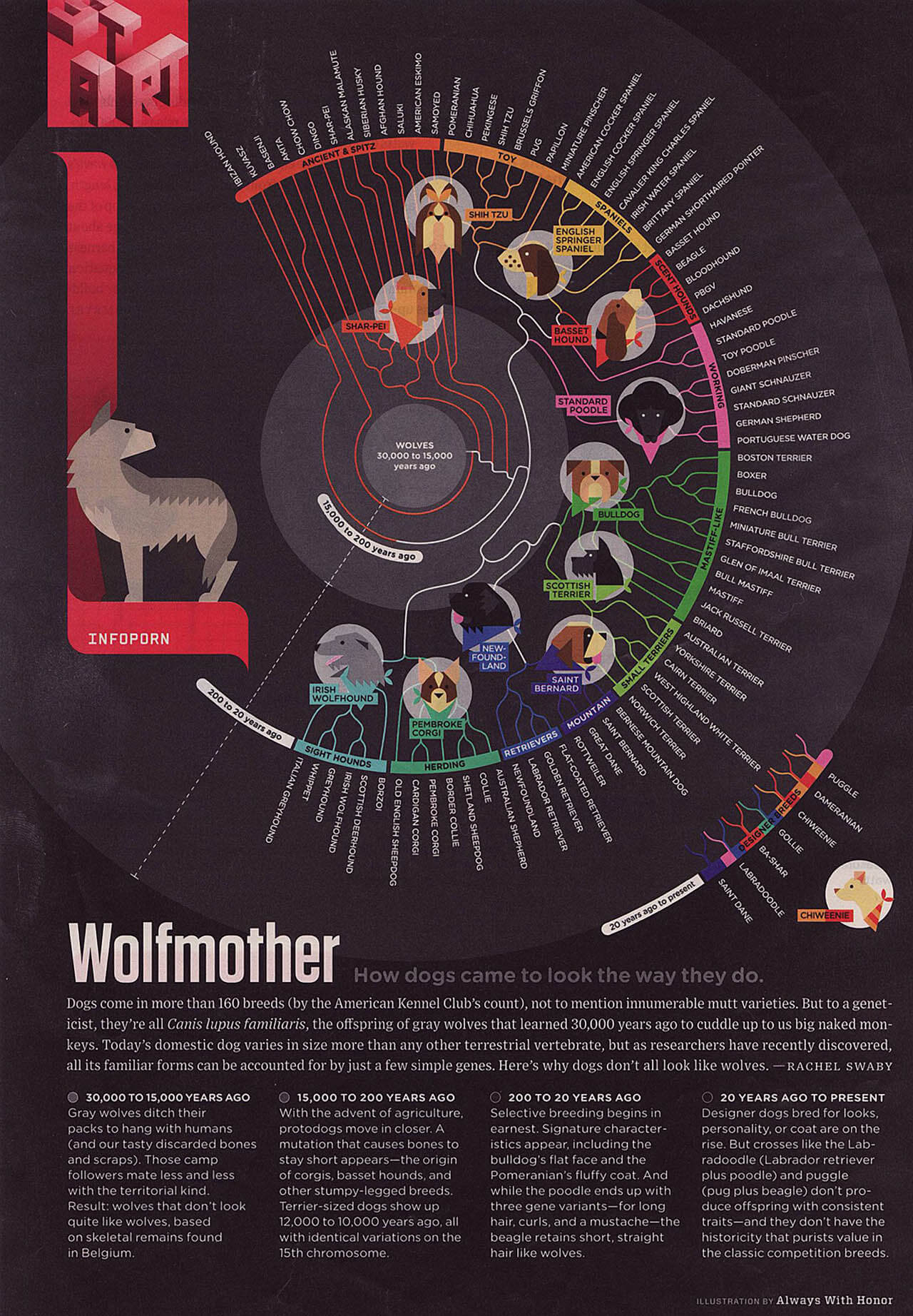 Dog Ancient Breeds & Origins