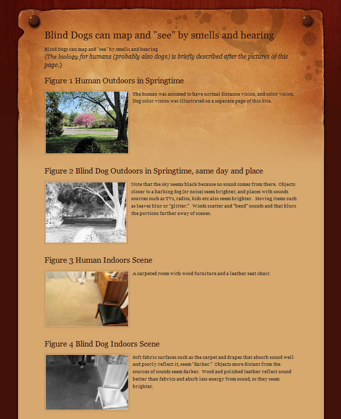 SYNESTETHISIA BLIND DOGS - WWW.DEAFDOGSFOREVER.COM, INFORMATION, TIPS, INFOGRAMS, VIDEO, PHOTO