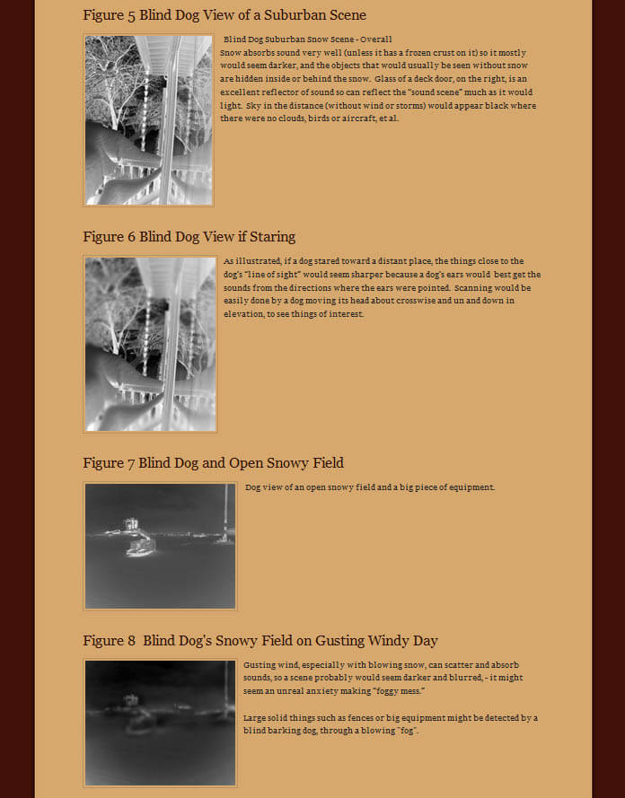 SYNESTETHISIA BLIND DOGS - WWW.DEAFDOGSFOREVER.COM, INFORMATION, TIPS, INFOGRAMS, VIDEO, PHOTO