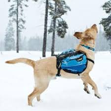 DOG & PUPPY BACKPACK