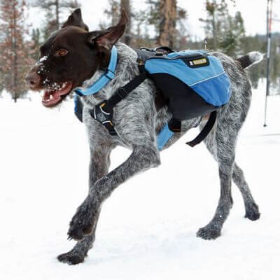 DOG & PUPPY BACKPACK WEAR GUIDE - TEACHING GUIDE & INSTRUCTIONS