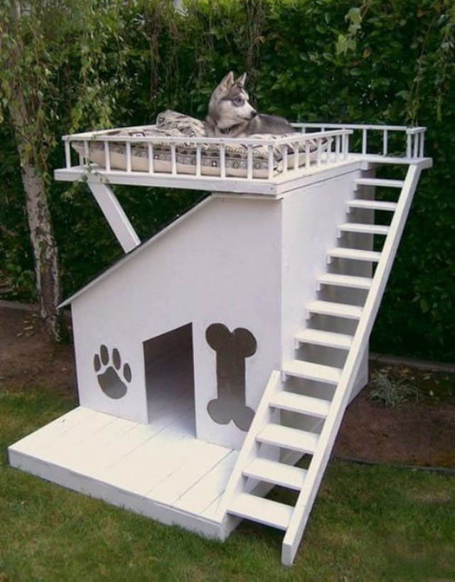 HOMEMADE DIY DOG & PUPPY HOUSES, KENNELS