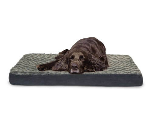 BUY THIS BEST DOG BED COUCH SOFA ONLINE