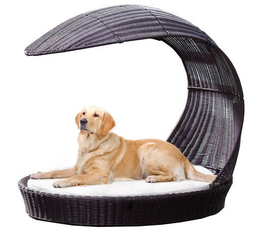 BUY THIS BEST DOG BED COUCH SOFA ONLINE