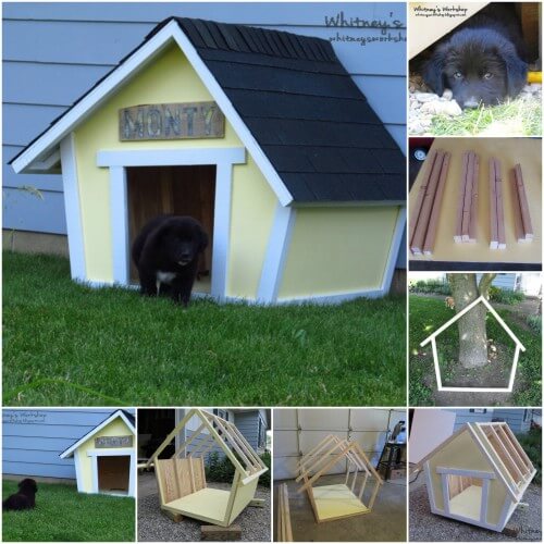 HOMEMADE DIY DOG & PUPPY HOUSES, KENNELS