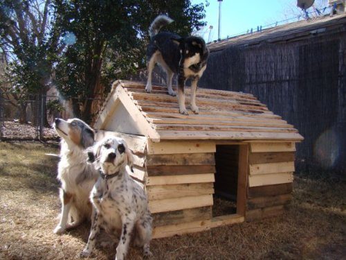 HOMEMADE DIY DOG & PUPPY HOUSES, KENNELS