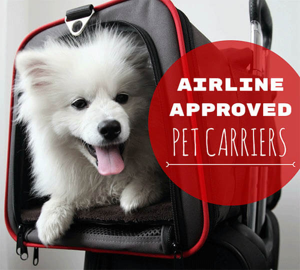 AIRLINE APPOVED DOG CARRIERS, BASKETS, BEST DOG & PUPPY CARRIER BACKPACKS REVIEWS, BUY, COMPARISON, AIRPLANE TRAVEL WITH DOG