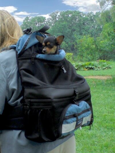 BUY THIS DOG BIKE BASKET