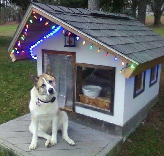 HOMEMADE DIY DOG & PUPPY HOUSES, KENNELS