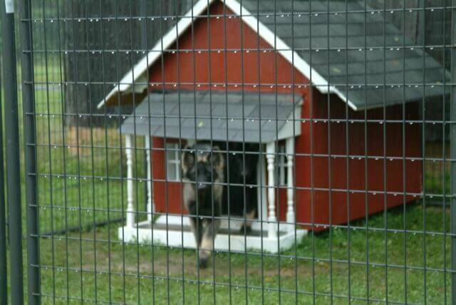 HOMEMADE DIY DOG & PUPPY HOUSES, KENNELS